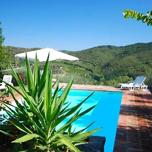  Casa vacanze Olivo Country